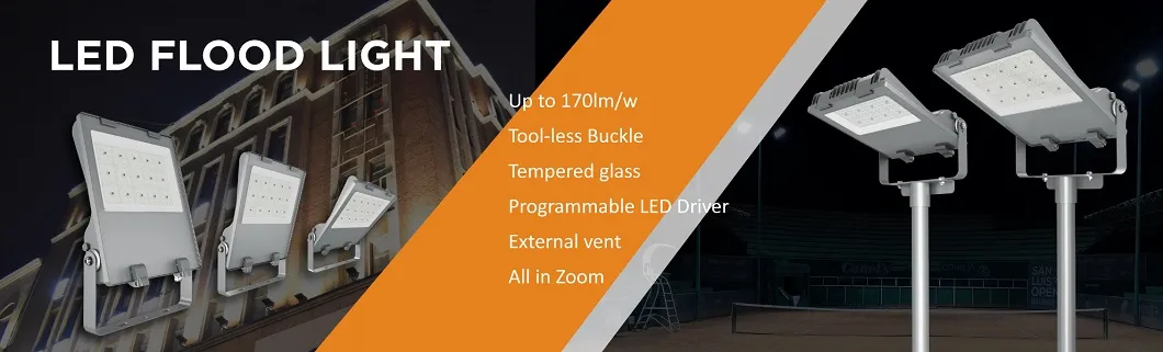 100W Die-Cast Aluminum Housing LED Floodlight 1-10V or Timer Dimming