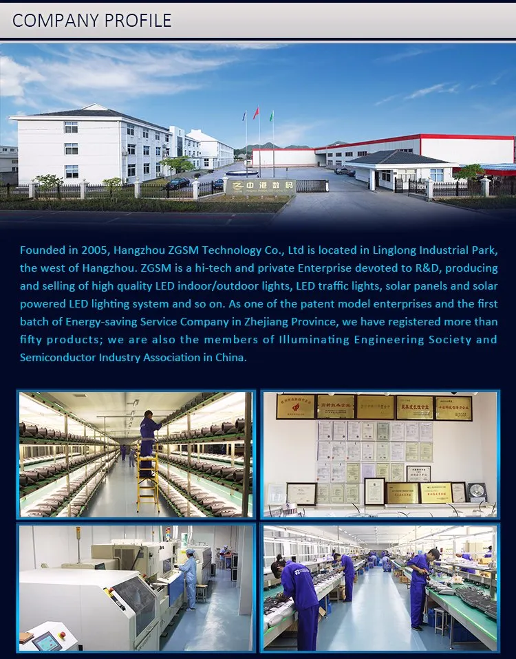 90-305VAC Street LED Light 20W-60W