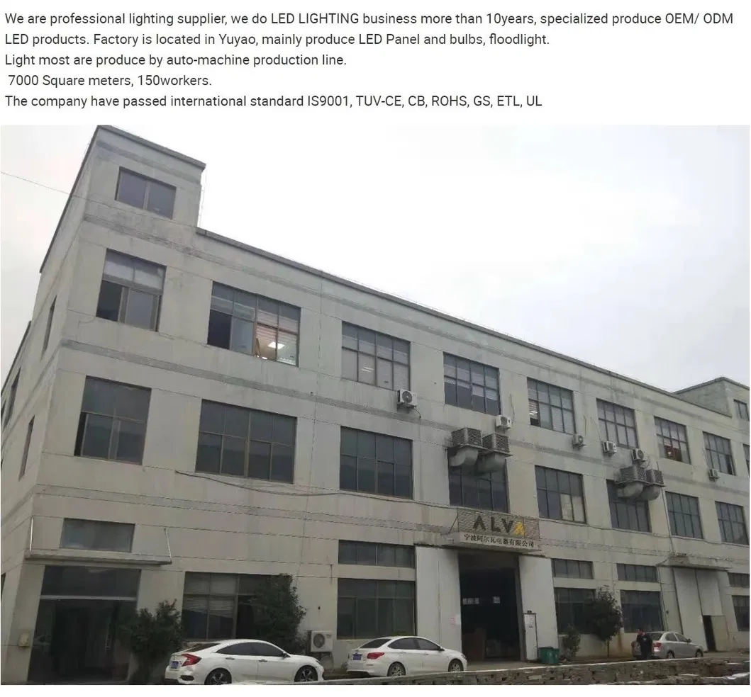 Adjustable LED Flood Light 20W Aluminum Projecting for Outdoor Lighting RGB