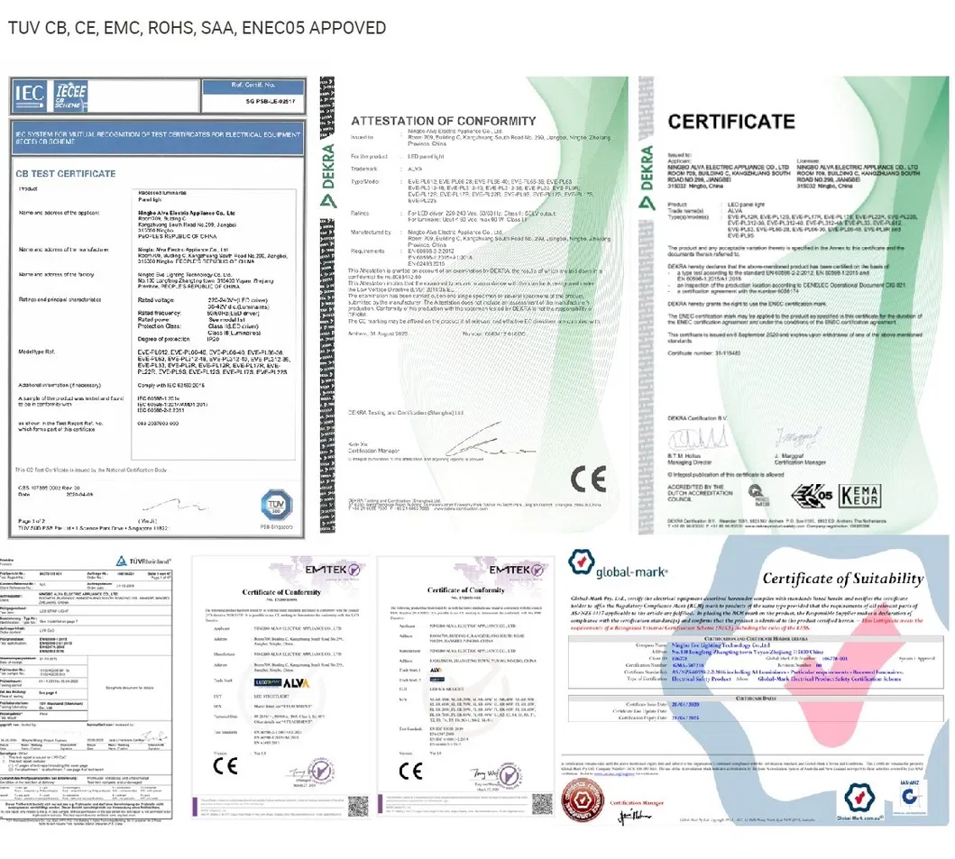 Adjustable LED Flood Light 20W Aluminum Projecting for Outdoor Lighting RGB
