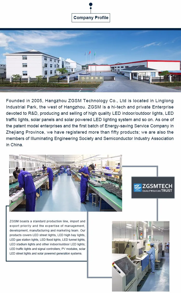 Best Sell 50W Light Poles Street with PLC Smart Control