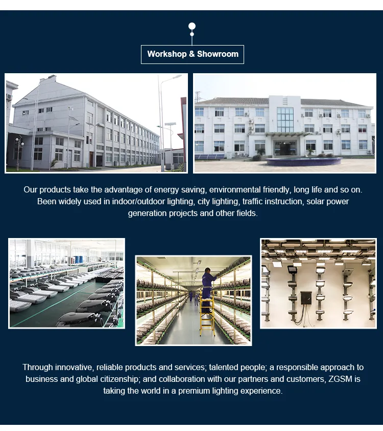 Best Sell 50W Light Poles Street with PLC Smart Control