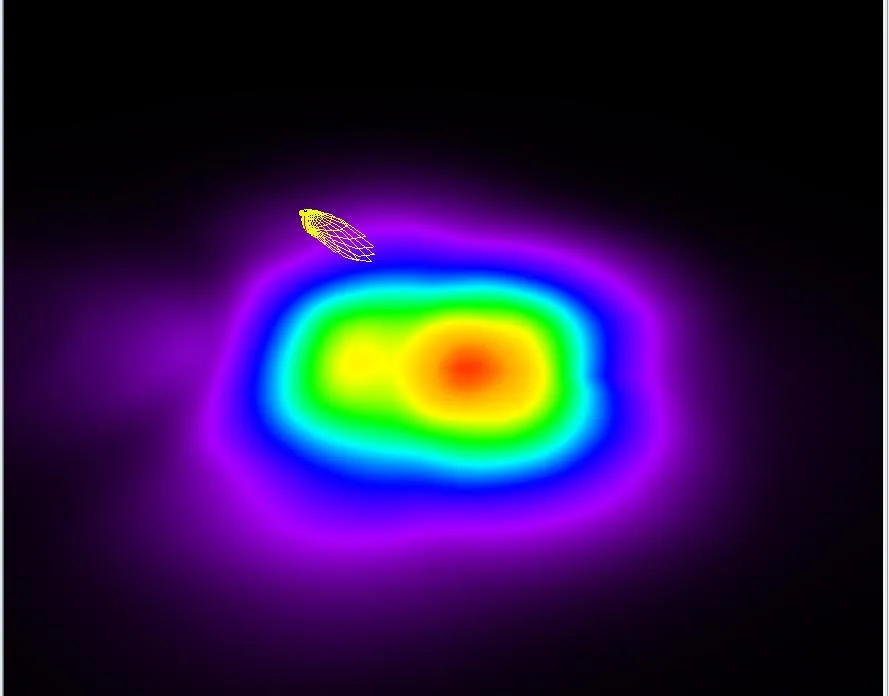 CE RoHS SAA TUV Marine Flood Light 6500K 140lm/W 80W Outdoor LED Deck Lights Universal Used Aluminum Die-Cast Floodlight 12V 24V 32V IP66 Optic 8deg