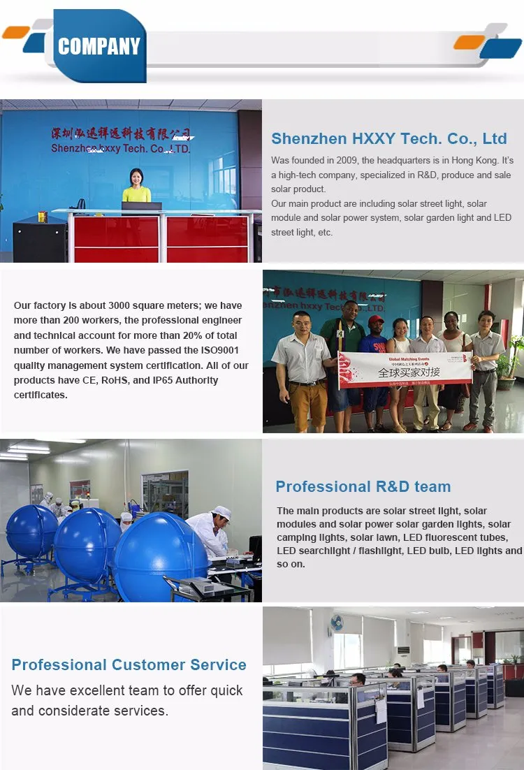 Customized Color 30W All in One Solar LED Street Light with Motion Sensor Security