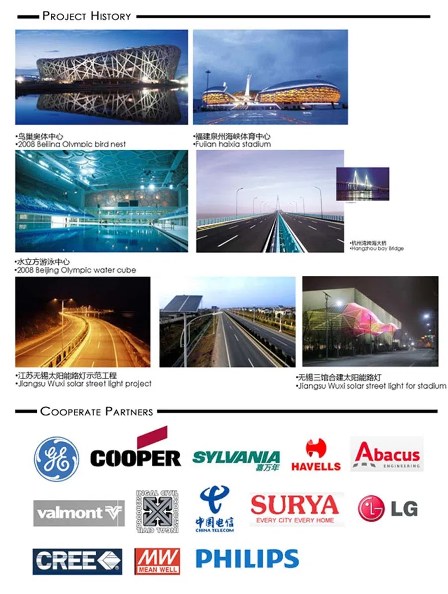 European Style LED Street Light 60W to 100W 5 Years Warranty