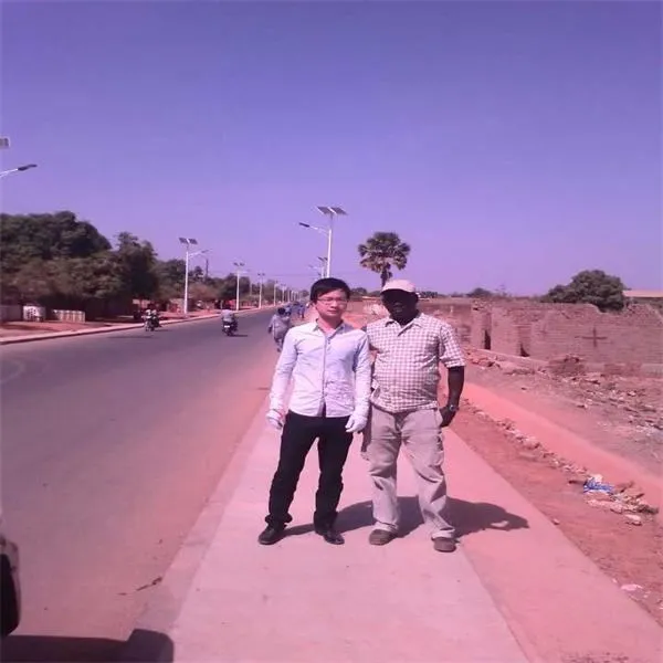 Factory Direct IP67 Bridgelux 8m60W Solar LED Street Lighting System Price