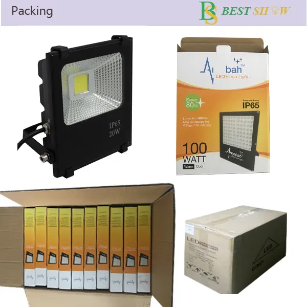 Guangzhou High Power Outdoor IP66 10W 20W 30W 50W 100W 200W 300W 400W 500W Slim LED Flood Light Meanwell Driver