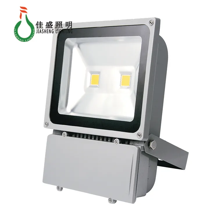 High Lumen Bridgelux COB 50W Flood Light LED RGB LED Flood Light