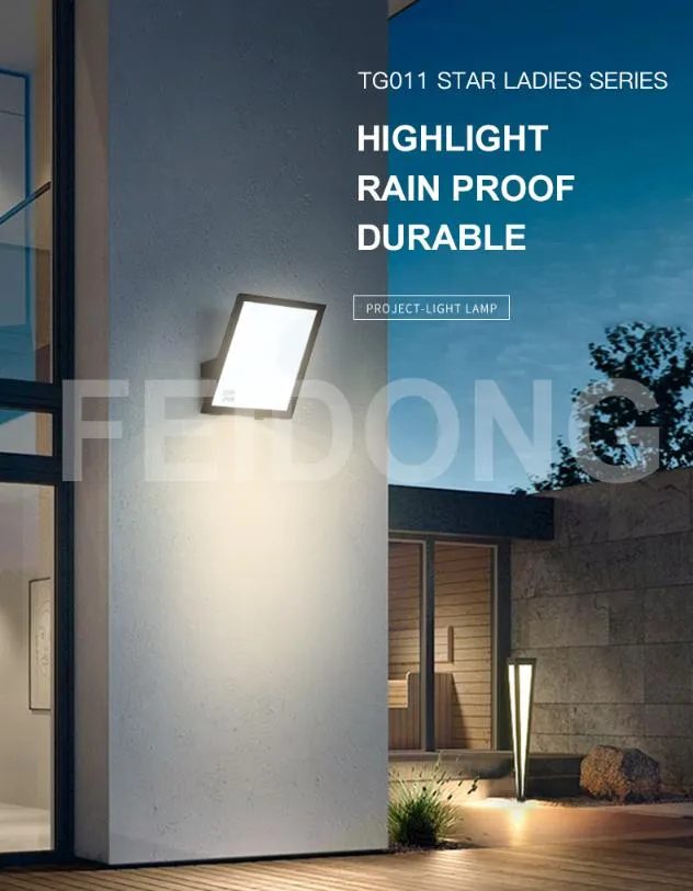 High Lumen Bright IP66 Waterproof Outdoor Surge 3.5kv RGB with Remote High Brightness LED Flood Light