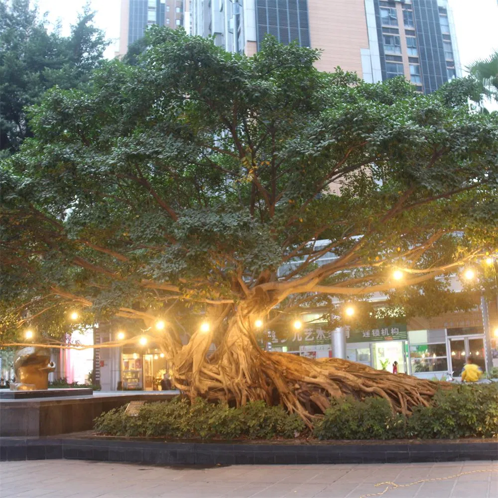 LED Outdoor String Light with S14 LED Bulbs High Quality