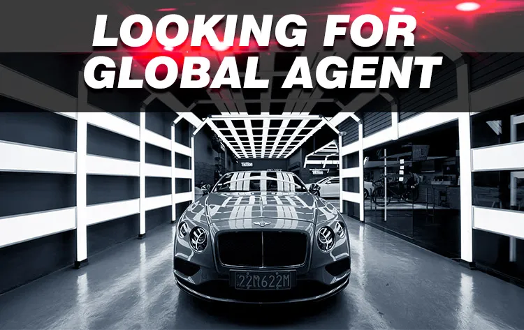 New Design High Quality Brightest High CRI and High Lightness Export to Japan 12 Watt LED Hexagonal Wall Light