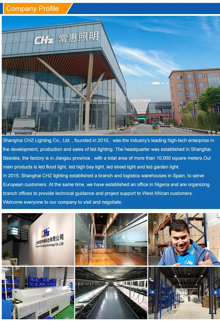 Outdoor 6W-35W LED Garden Light with Pole