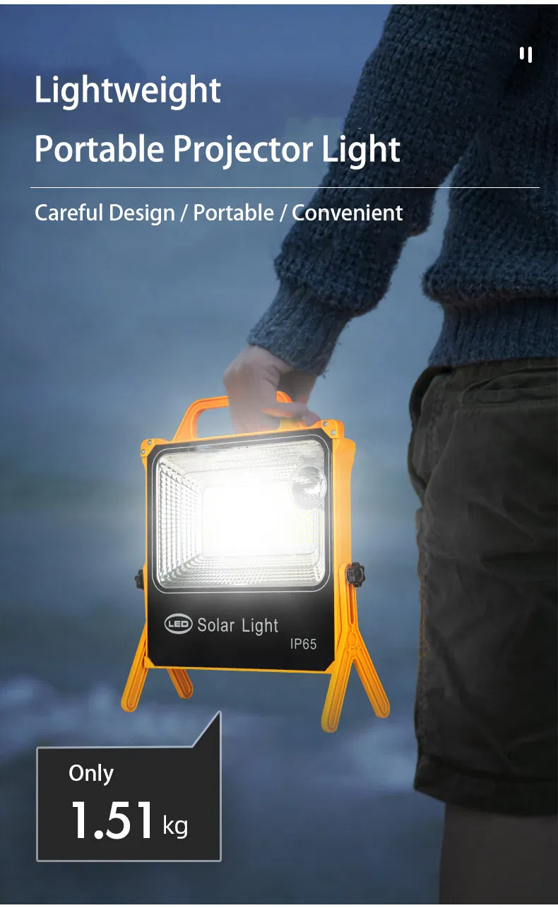 Outdoor Portable 100W Flood Solar Lights Low Factory Price IP65 Waterproof LED Lighting and Circuitry Design Garden Light