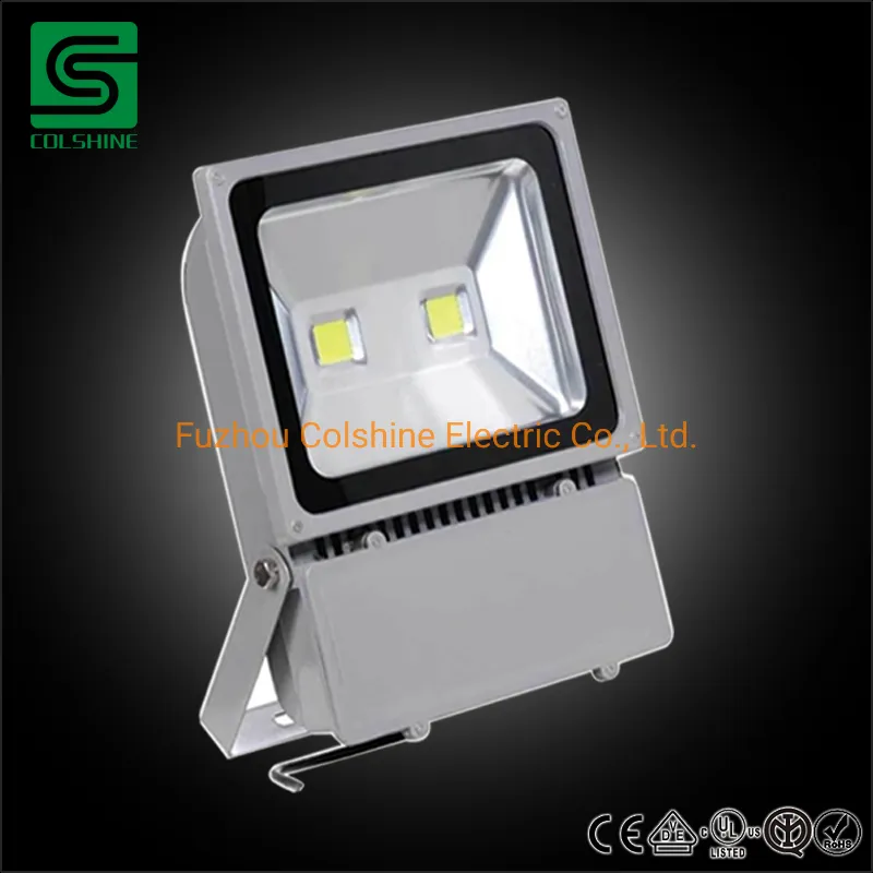 Outdoor Waterproof IP65 30W 50W 100W Landscape LED Flood Light