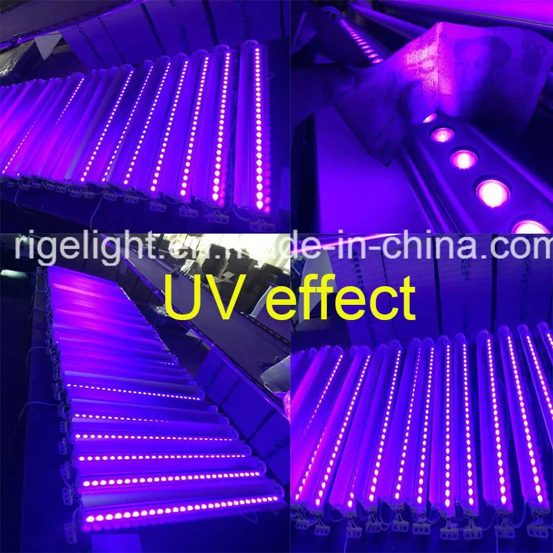 Rigeba 27*3W Waterproof LED UV Black Wall Washer Light for Club