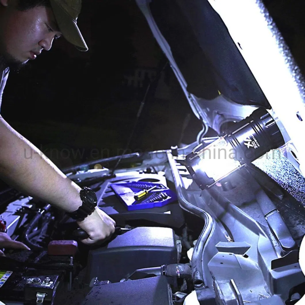 Sunshine Homelight Daylight Worklight Spotlight, Worklight Adventurer Lantern